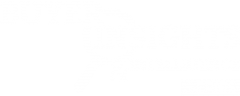 bii17_logo bii17_logo